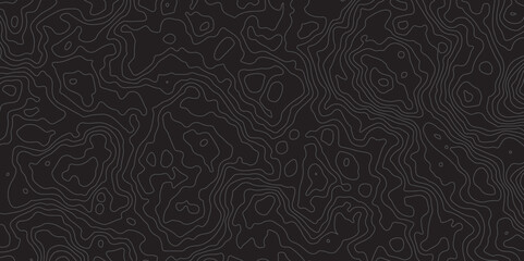 Mountain topographic terrain map background with white lines texture. Luxury white abstract line art background vector.  Design illustration for wall art, fabric, packaging, web, banner, app, wallpape