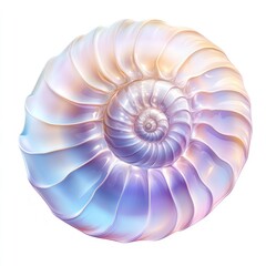 Iridescent Nautilus Shell Displaying Intricate Patterns and Smooth Curves Against a Soft Background