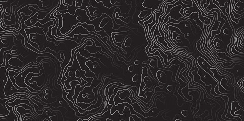 Mountain topographic terrain map background with white shape lines texture.Abstract line art background vector. Abstract line art background vector. Design illustration for wall art, fabric, packaging