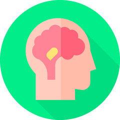 endocrine illustration on a white background 