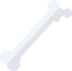 Femur illustration on a white background 