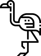 flamingo illustration on a white background 