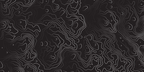 Mountain topographic terrain map background with white shape lines texture.Abstract line art background vector. Abstract line art background vector. Design illustration for wall art, fabric, packaging