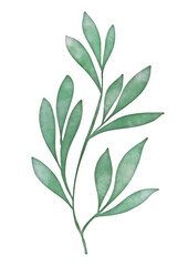 Hand painted watercolour leaves background