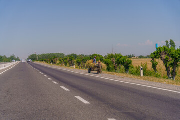 A man is riding a cart on a road