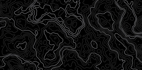 Mountain topographic terrain map background with white shape lines texture.Abstract line art background vector. Abstract line art background vector. Design illustration for wall art, fabric, packaging