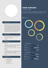 Infographic CV template. Classy employment interview CV. Simple applications resume, creative vector illustration design.