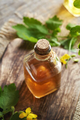 A bottle of tetterwort herbal tincture on a table