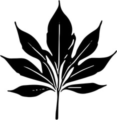 silhouette of a leaf