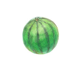水彩絵の具で描いたスイカのイラスト