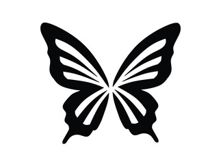 butterfly wings vector illustration