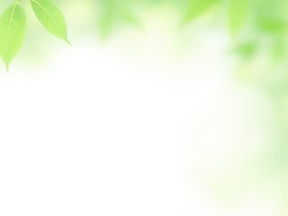 Naklejka premium green leaves background