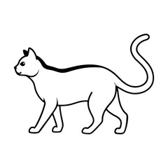 Elegant Cat Walking Side View Black and White