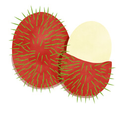 Rambutan fruit