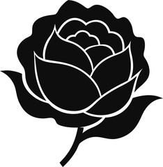 Peony icon Silhouette vector on transparent background