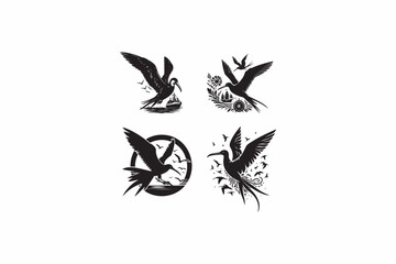 Frigate bird vector silhouettes image made by adobe illustrator with white color back round. eps