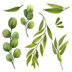 Accessories for thai massage. Hand drawn illustration of flowers, bottles, bath towels on white isolated background for aromatherapy design. Relaxation nature drawing clip art stock illustration