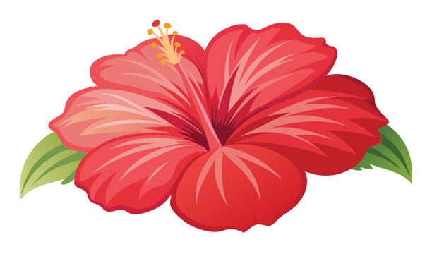 red joba isolated on white