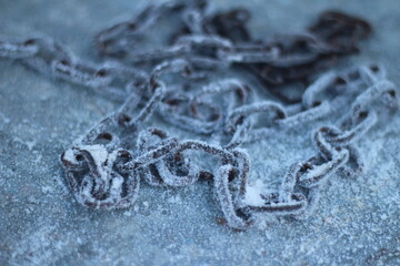 detalhe de geada no amanhecer em bento gonçalves, rio grande do sul 