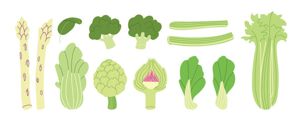 Modern greenery vegetables illustration with celery, broccoli, spinach, artichokes, cabbage and asparagus. Trendy flat design for ecommerce, retail, or tech projects. Simple vector art for digital use
