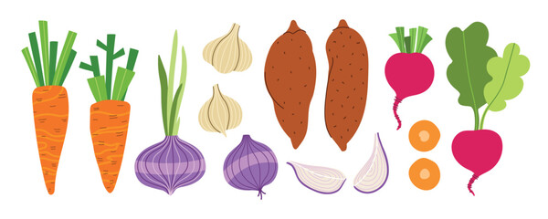 Modern vegetables illustration set with onions, garlic, radish, carrot and sweet potato. Trendy flat design for e-commerce, retail, or tech projects. Simple vector art for digital use