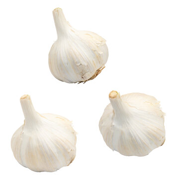 garlic white bulb transparent png no background