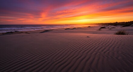 Fototapeta premium A tranquil sunset over coastal sand dunes 