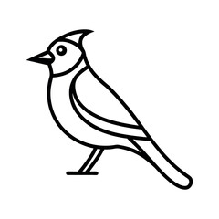 Blue Jay Line Art Vector