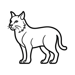 Bobcat Minimalist Line Art