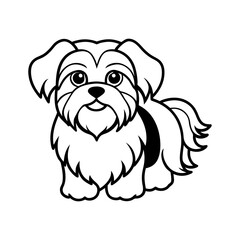 Stylized Shih Tzu with Fluffy Ears Drawing