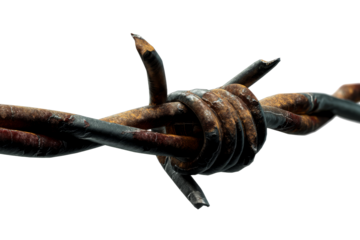 Rusty barbed wire twisted in knots on a transparent background