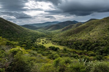 Fototapeta premium A breathtaking view of a verdant valley surrounded by mountains under a moody sky.