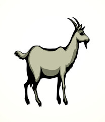 Big white goat. Vector animal