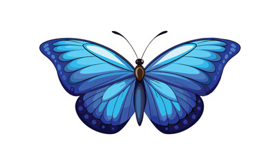 butterfly isolated on white background