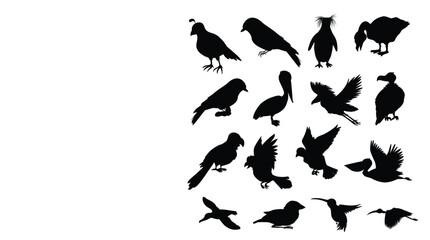 Flock of birds isolated
