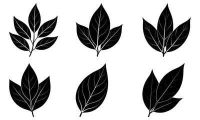 Fototapeta premium Bay Leaf silhouette vector