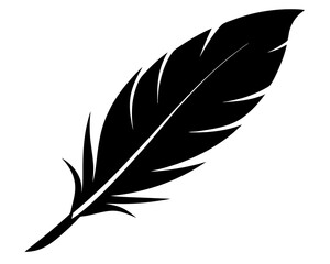 Obraz premium Feather Vector Design, Feather Silhouette SVG File