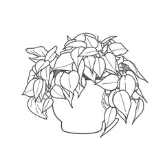 Obraz premium Heartleaf Philodendron Line Art in Pot - Elegant Minimalist Botanical Illustration for Wall Decor and Design
