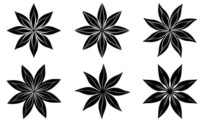 Obraz premium Anise silhouette vector