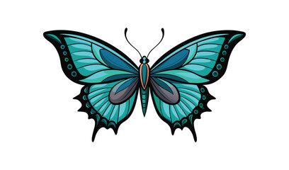 butterfly vector illustration