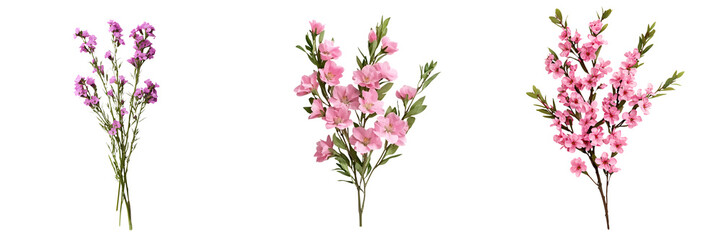 Fototapeta premium Vibrant spring flowers in shades of pink and purple