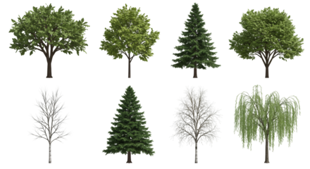 Assorted Trees Isolated on Transparent Background Diverse Green Foliage and Winter Bare Branches Botanical Variety for Landscaping