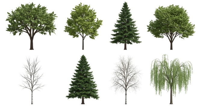 Assorted Trees Isolated on Transparent Background Diverse Green Foliage and Winter Bare Branches Botanical Variety for Landscaping