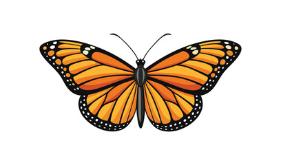 Fototapeta premium butterfly on white background