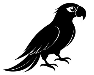 Parrot Bird Vector Design – Tropical Parrot SVG File