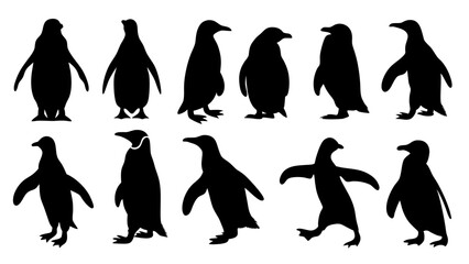 Obraz premium set of penguin silhouette vector on white background