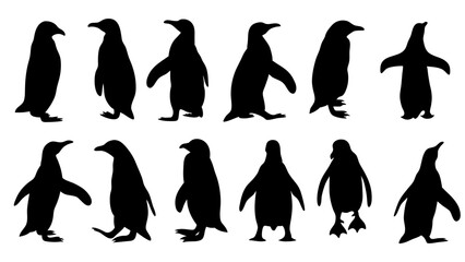 Naklejka premium set of penguin silhouette vector on white background