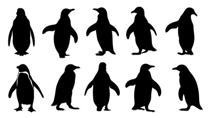 Obraz premium set of penguin silhouette vector on white background