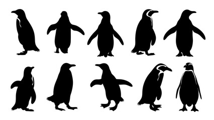 Fototapeta premium set of penguin silhouette vector on white background