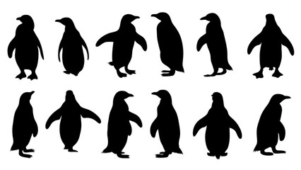 Obraz premium set of penguin silhouette vector on white background